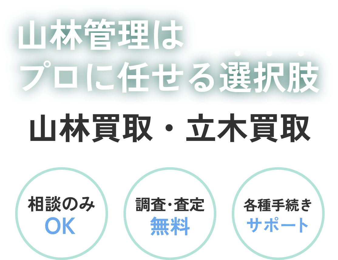 山林管理はプロに任せる選択肢