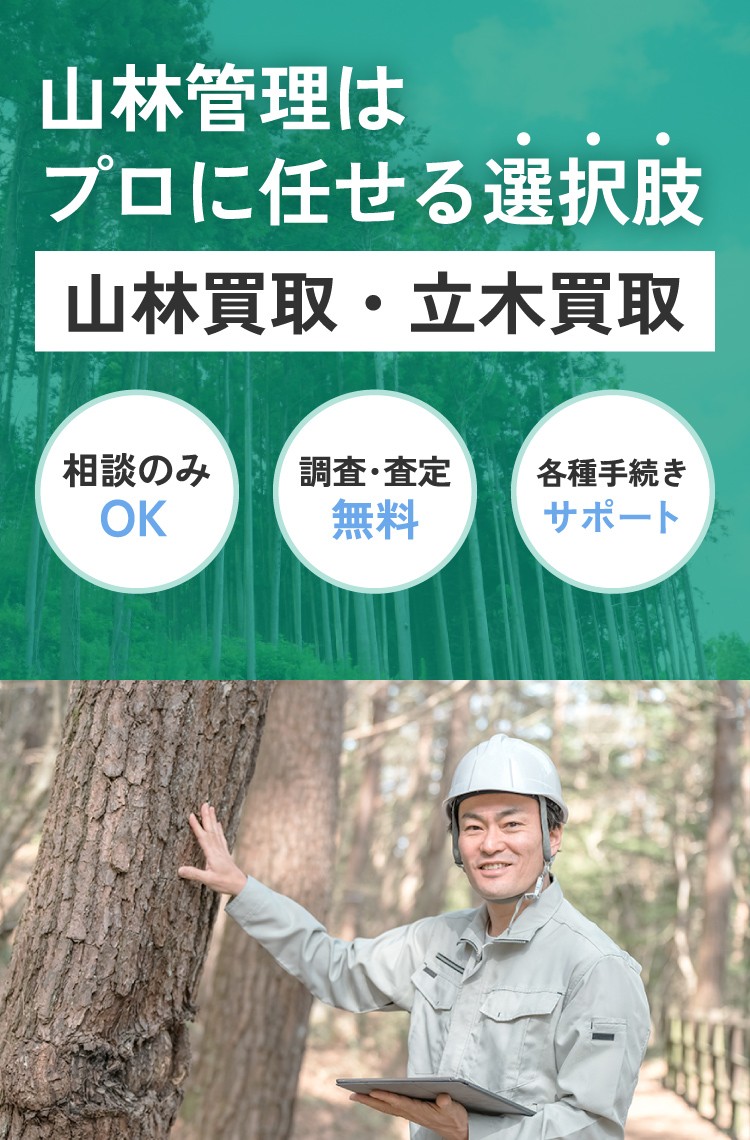山林管理はプロに任せる選択肢